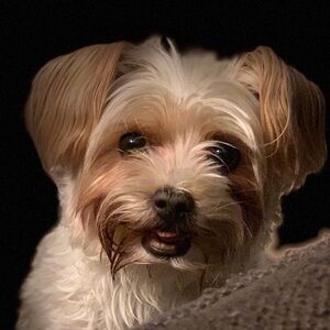 Meet your Posher, Vickie